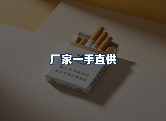 专业团队办公环境